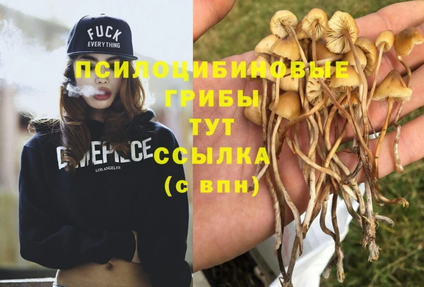a pvp Куйбышев