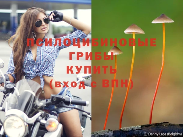 скорость Армянск
